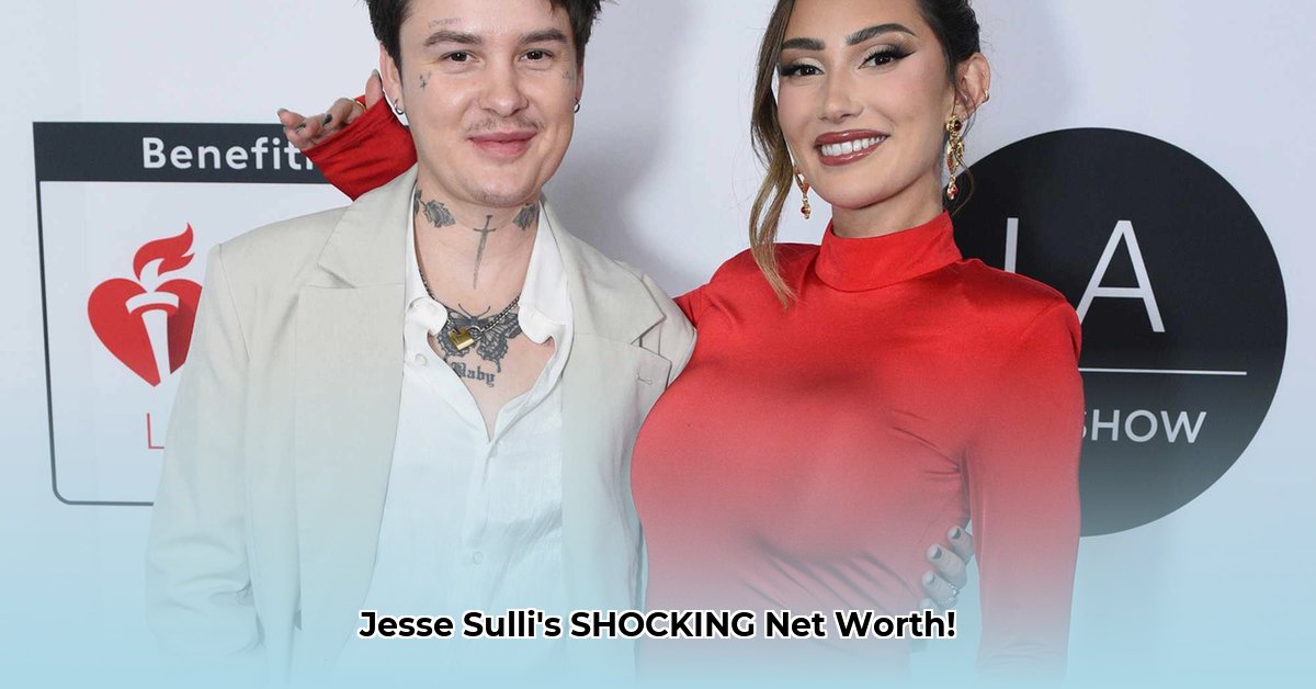 jesse-sulli-net-worth